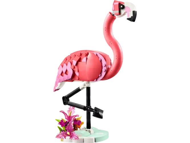 Wild Animals: Pink Flamingo
