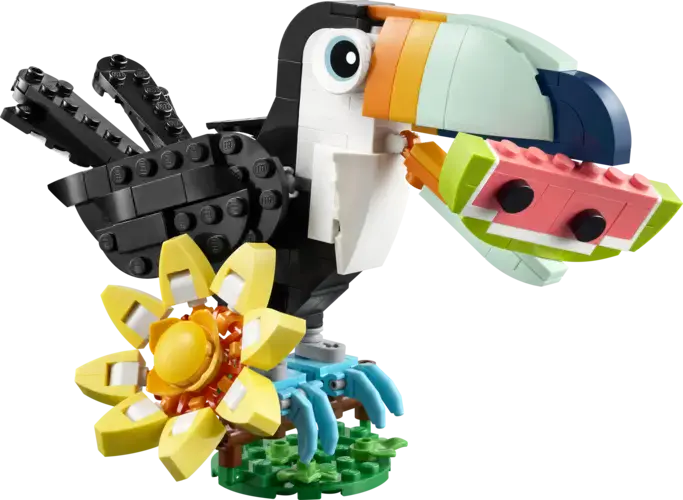 Wild Animals: Tropical Toucan