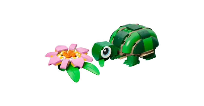 Turtle with a Water Lily Flower