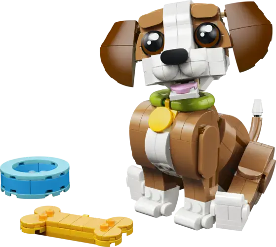 Cute Animals: Playful Puppy Dog