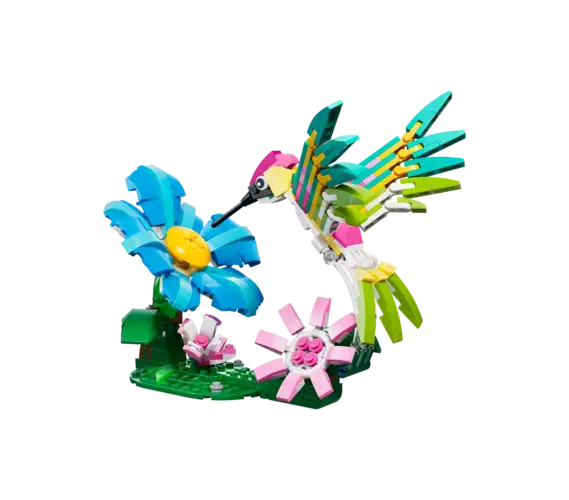 Wild Animals: Colorful Hummingbird