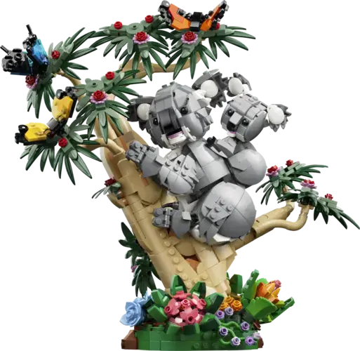 Wild Animals: Family of Koalas