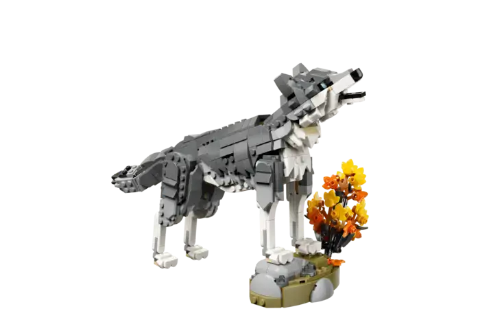 Forest Animals: Gray Wolf