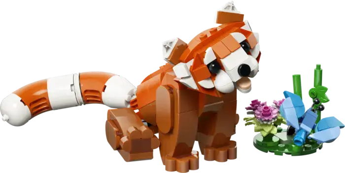 Cute Animals: Red Panda