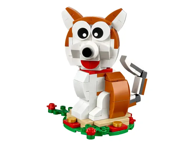 Year Of the Dog 40235