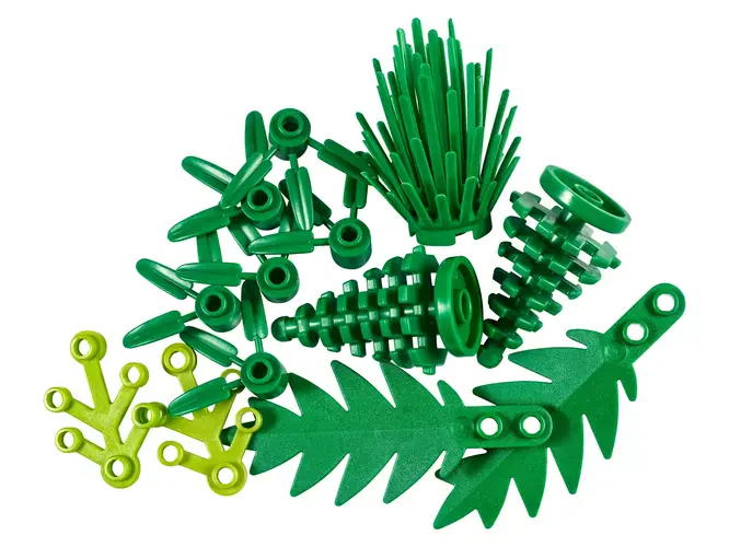 Plants from Plants 40320