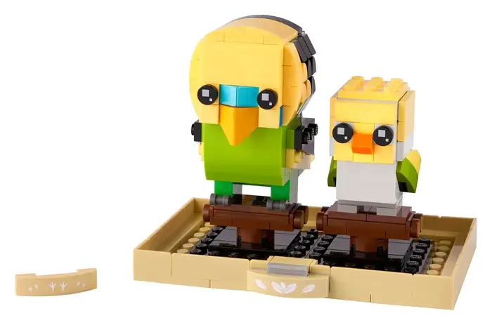 Budgie 40443