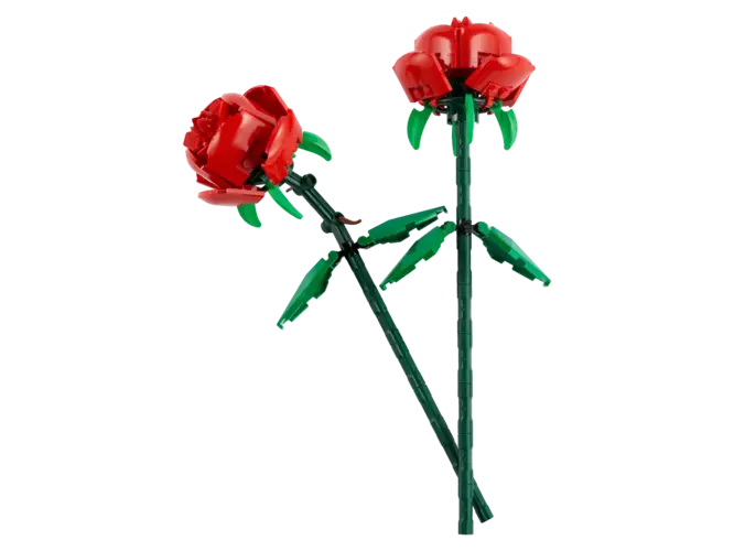 Roses