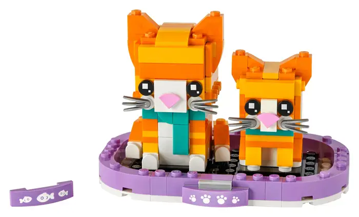 Ginger Tabby 40480
