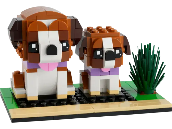 St. Bernard 40543