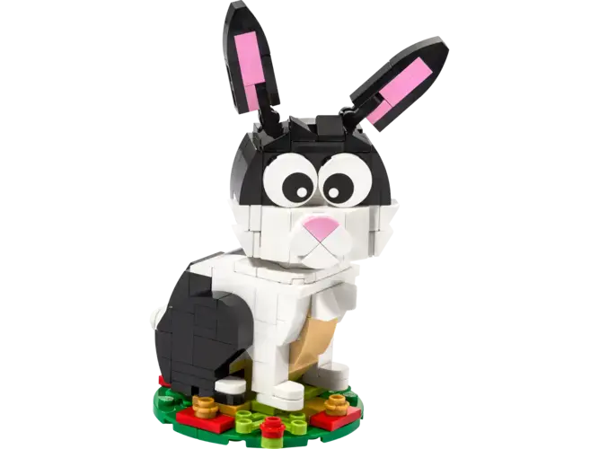 Year of the Rabbit 40575