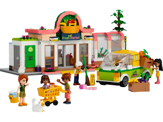 Organic Grocery Store 41729