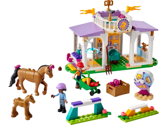Horse Training 41746
