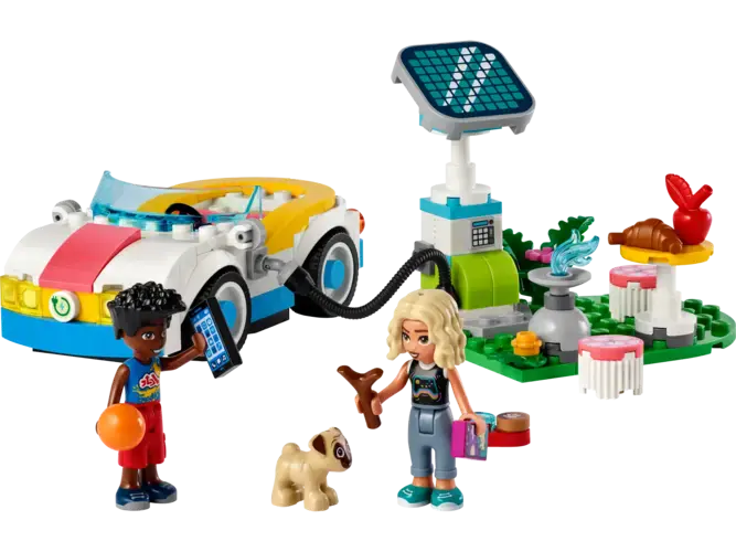 Electric Car and Charger 42609