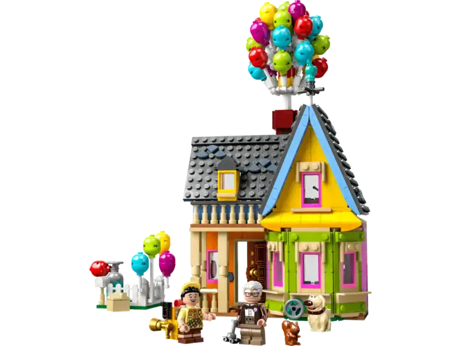 ‘Up’ House​