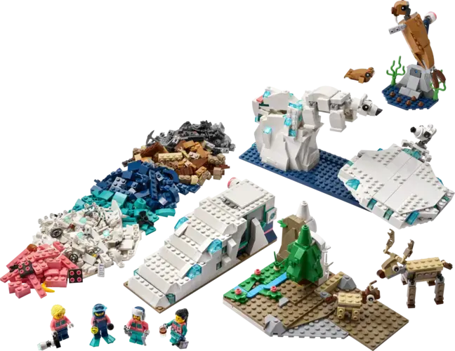 Arctic Animals Science Kit