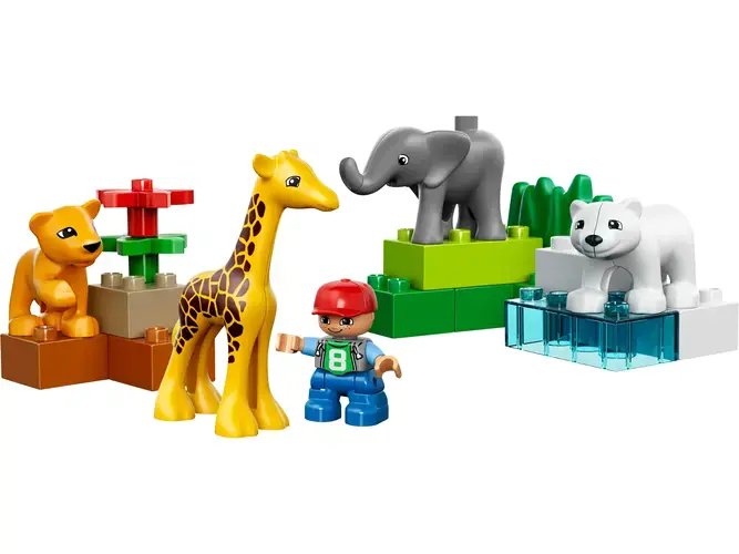Baby Zoo 4962