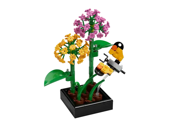 Butterfly Garden 5009408