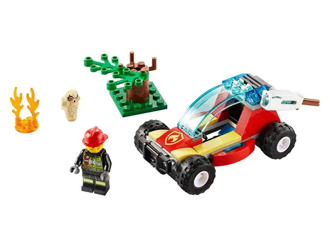 Forest Fire 60247