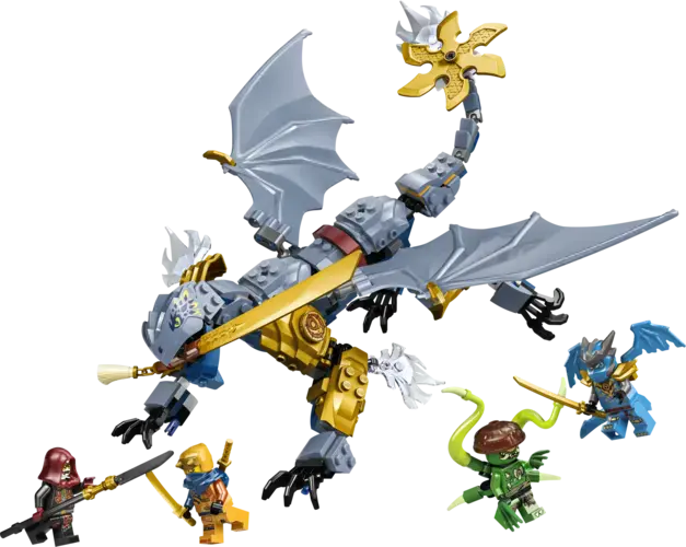 Ninja Dragon Riyu's Battle