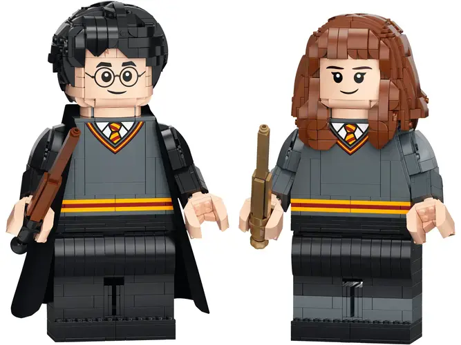 Harry Potter & Hermione Granger™ 76393