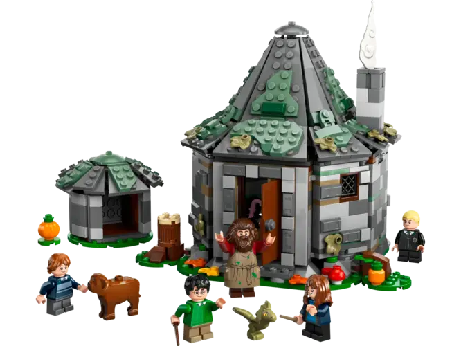 Hagrid's Hut: An Unexpected Visit