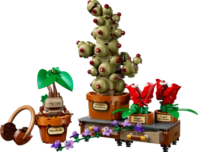 Hogwarts™ Herbology Plants