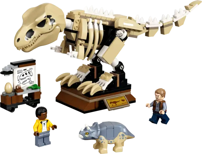 T. rex Dinosaur Fossil Exhibition 76940
