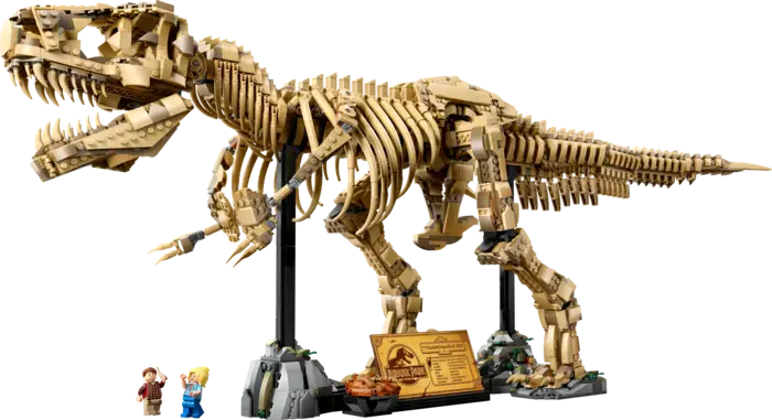Dinosaur Fossils: Tyrannosaurus rex