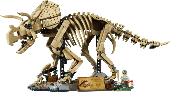 Dinosaur Fossils: Triceratops